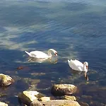 Caricia Complex Carpe Diem - Sea View , Free Parking & Swimming Pool Appartamento *