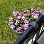 Caricia Complex Carpe Diem - Sea View , Free Parking & Swimming Pool *