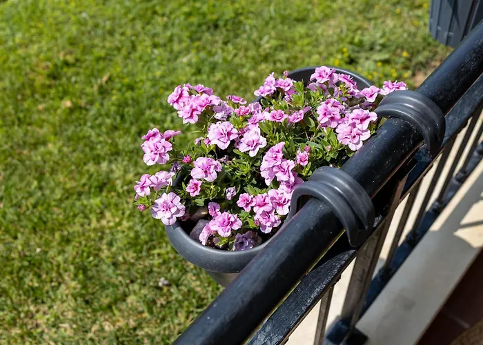 Caricia Complex Carpe Diem - Sea View , Free Parking & Swimming Pool *